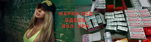стаф Алзамай
