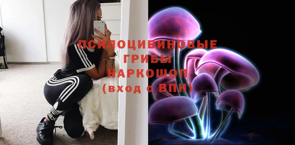 скорость Алексин