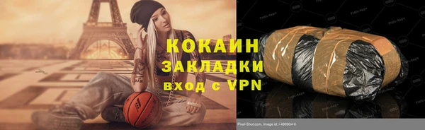 стаф Алзамай