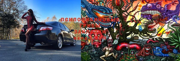 ПСИЛОЦИБИНОВЫЕ ГРИБЫ Алексеевка