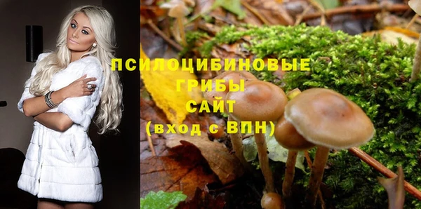 скорость Алексин