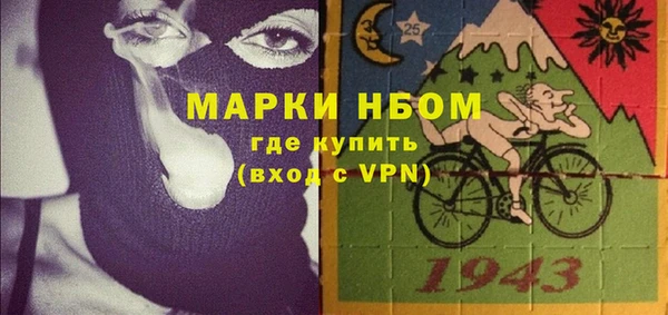 стаф Алзамай