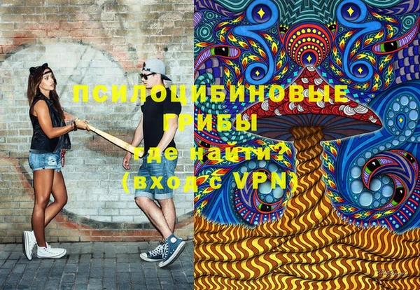 стаф Алзамай