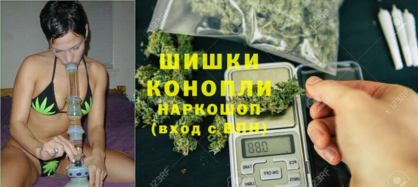 ПСИЛОЦИБИНОВЫЕ ГРИБЫ Алексеевка