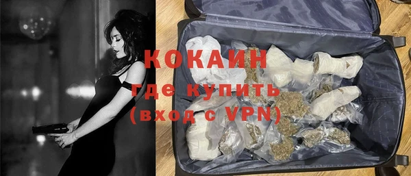 стаф Алзамай