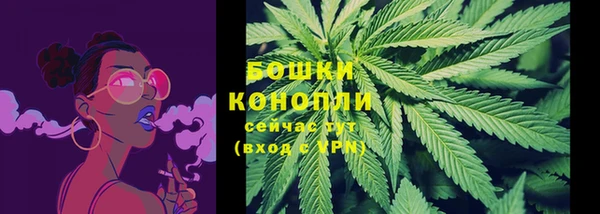 ПСИЛОЦИБИНОВЫЕ ГРИБЫ Алексеевка