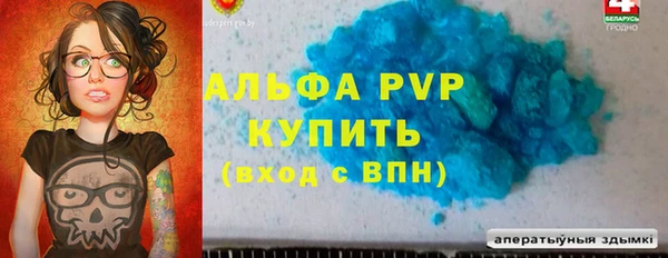 стаф Алзамай