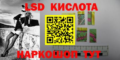 прущие грибы Будённовск