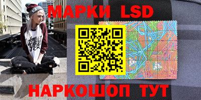 прущие грибы Будённовск