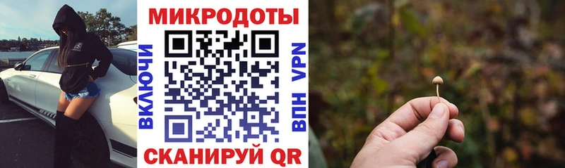 Галлюциногенные грибы Psilocybine cubensis  Канаш 
