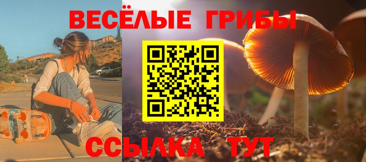 Галлюциногенные грибы GOLDEN TEACHER Канаш