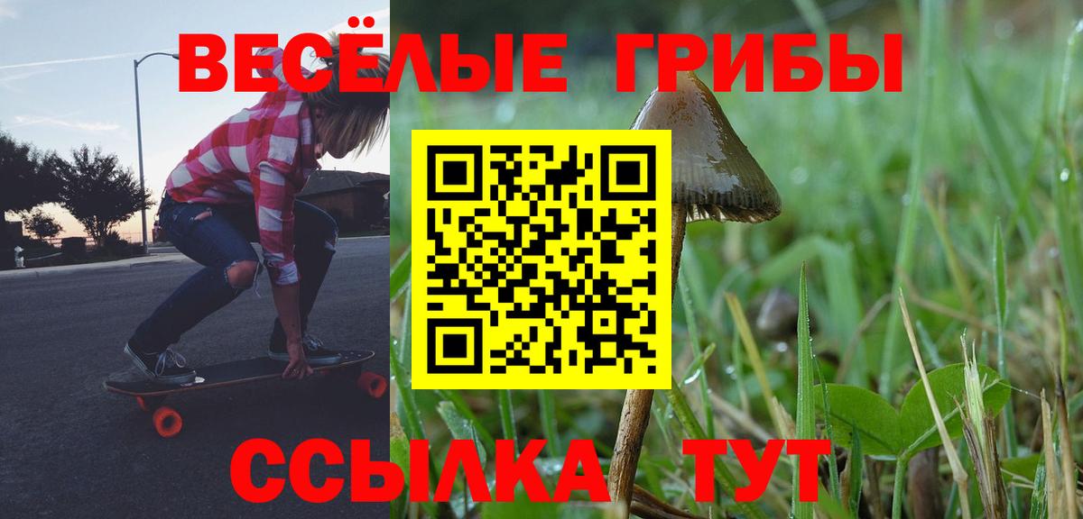 Галлюциногенные грибы мицелий  Вход с VPN  Канаш  Псилоцибиновые грибы Cubensis 