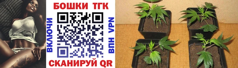 Бошки марихуана White Widow  Канаш 